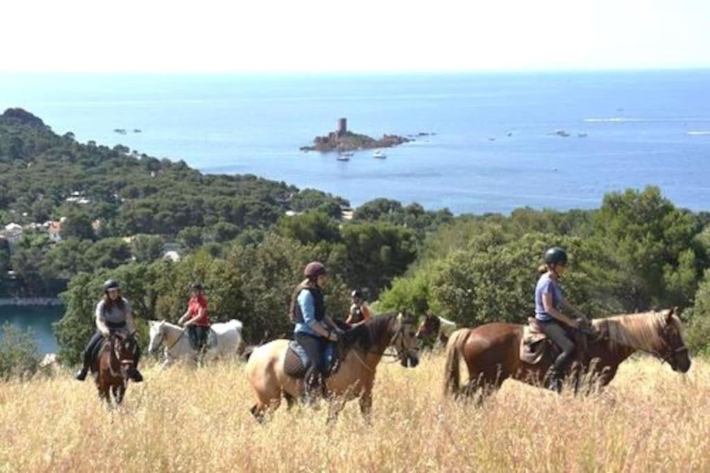Dans Un Cadre D'Exception, Vue Mer Panoramique A Agay Cote D'Azur, Village Vacances Cap Esterel, T2 Avec Jardin, Golf, Climatisation, Wifi, 5 Piscines Saint-Raphaël Екстериор снимка